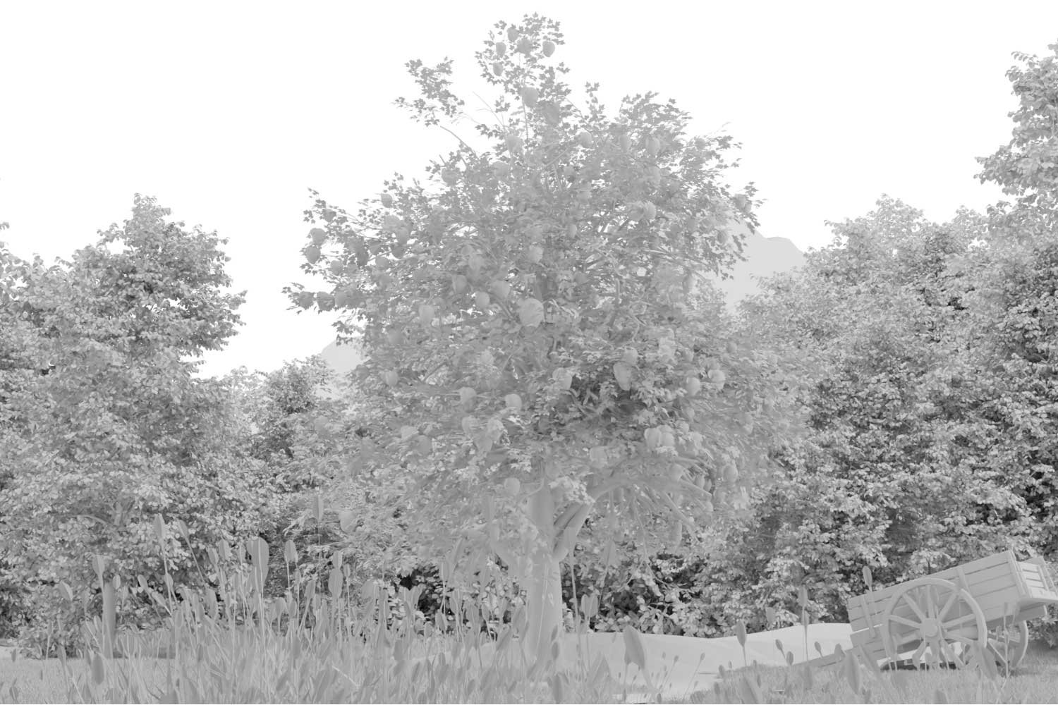 Default Image