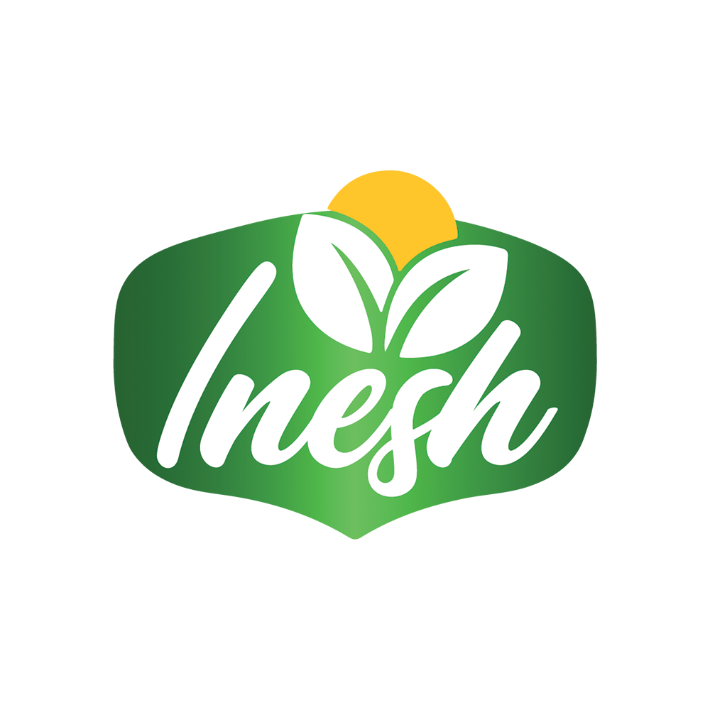 Inesh logo designing