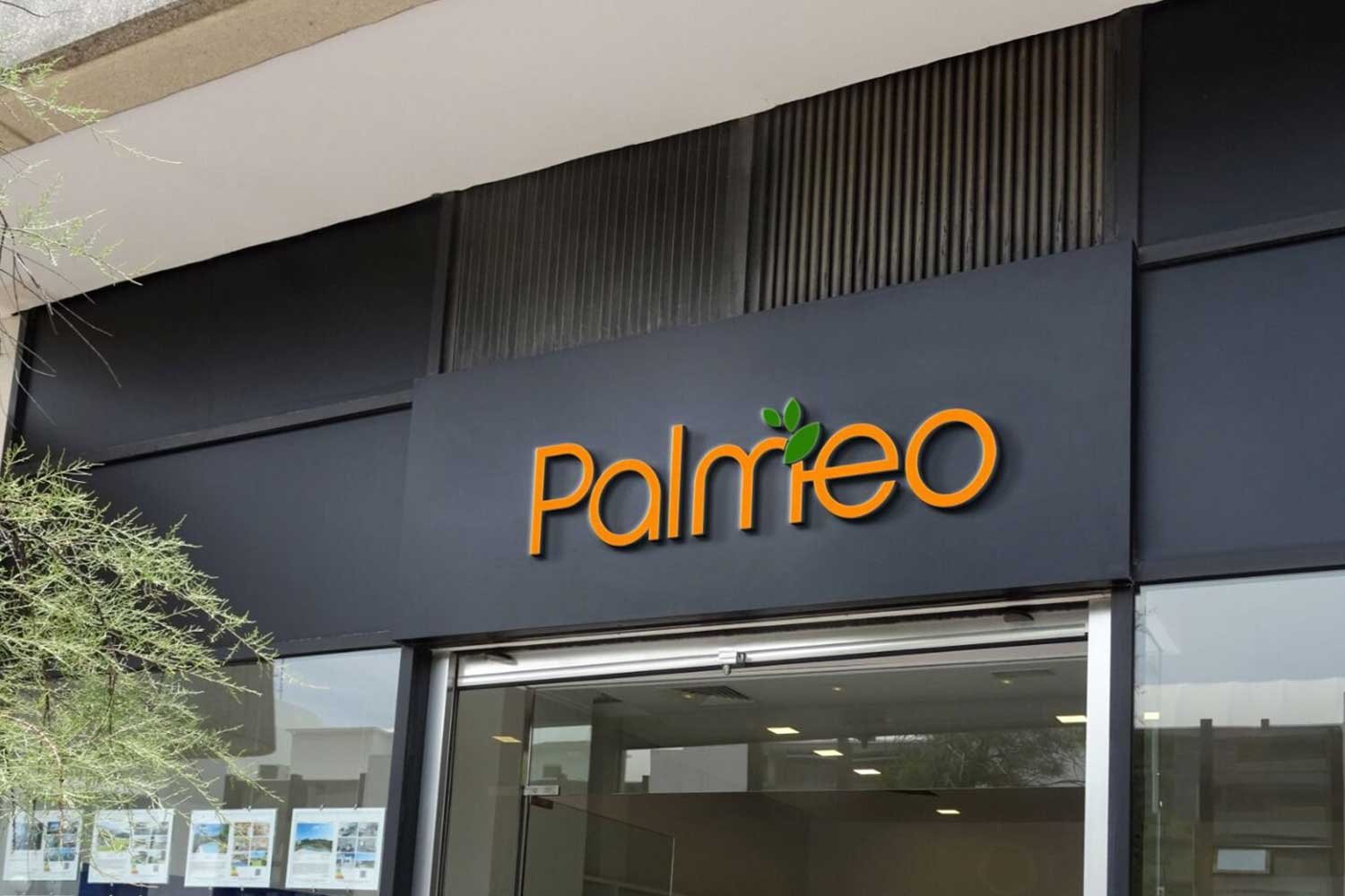 Palmeo logo designing agency in noida
